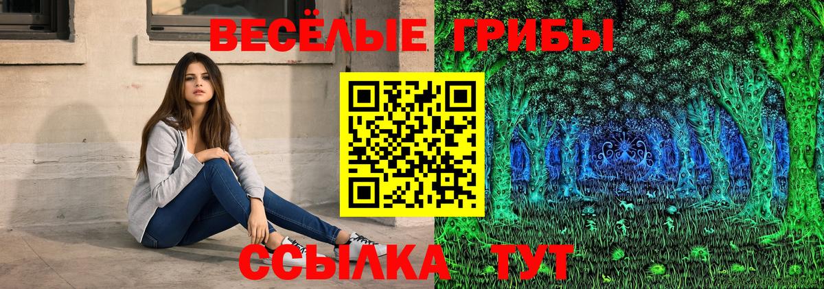Галлюциногенные грибы Psilocybe Красногорск