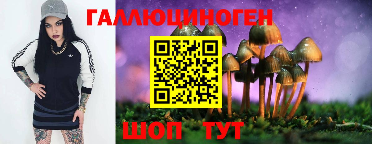 Псилоцибиновые грибы ЛСД  Вход с VPN  наркотики  Красногорск 